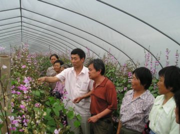 新农村发展研究院与浦东新区农委共同成