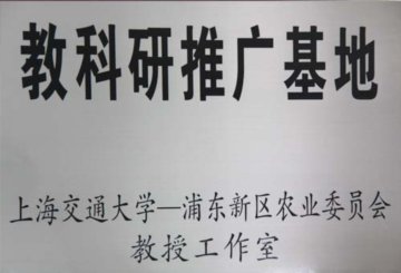 2006年11月
