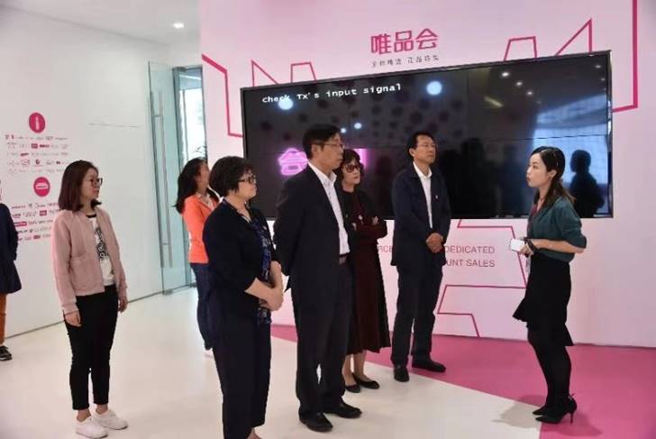 闵行区委统战部党总支书记巫岭参加活动
