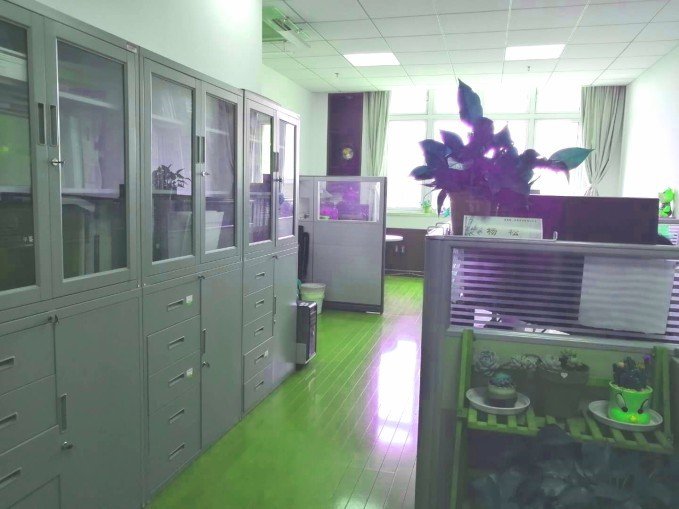 开展办公环境整治活动